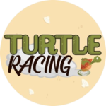 Turtle Racing